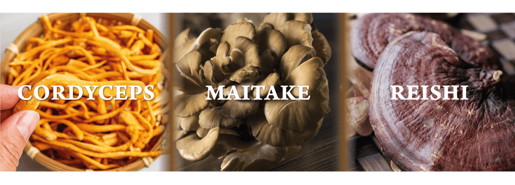 Imuninė Formula (90 kaps.) Nature's Sunshine NSP Polska